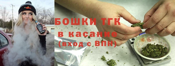 прущая мука Арсеньев