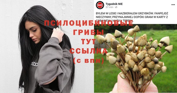 прущая мука Арсеньев