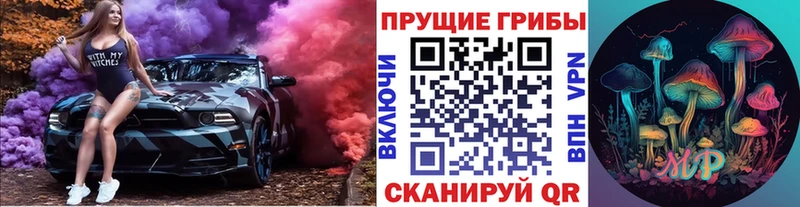Псилоцибиновые грибы мухоморы  купить закладку  Сорск 